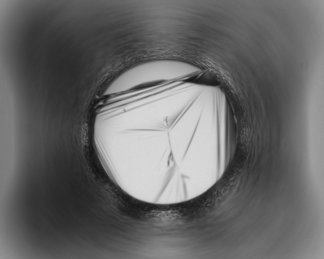 X0000096140689200802151335