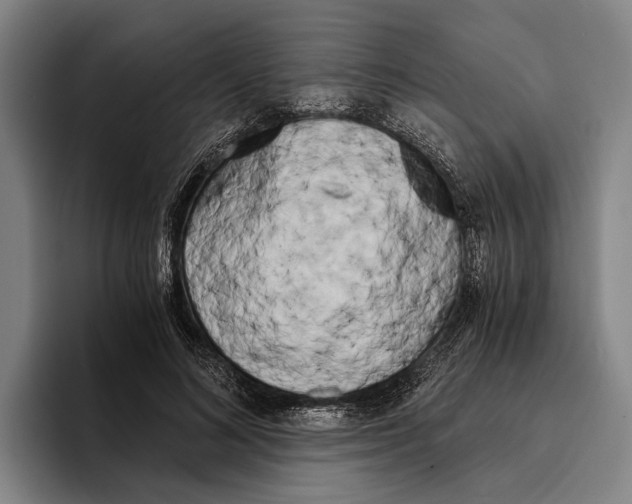 X0000096140692200802151334