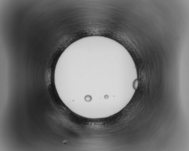 X0000096140694200802151334