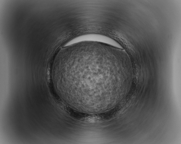 X0000096140696200802151334