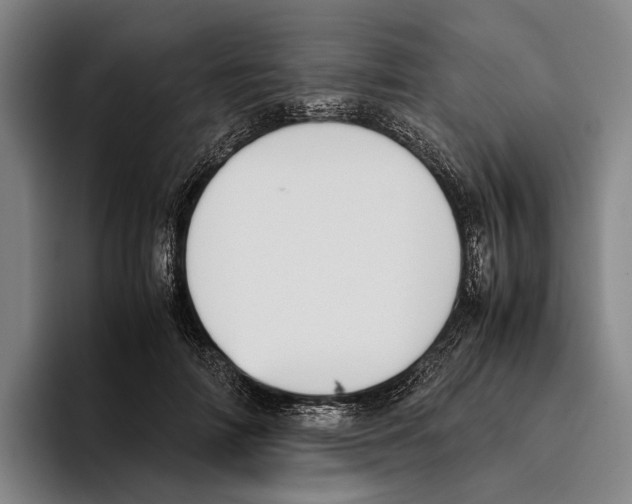X0000096140698200802151334