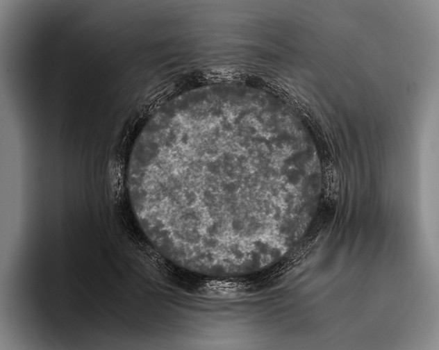 X0000096140699200802151334