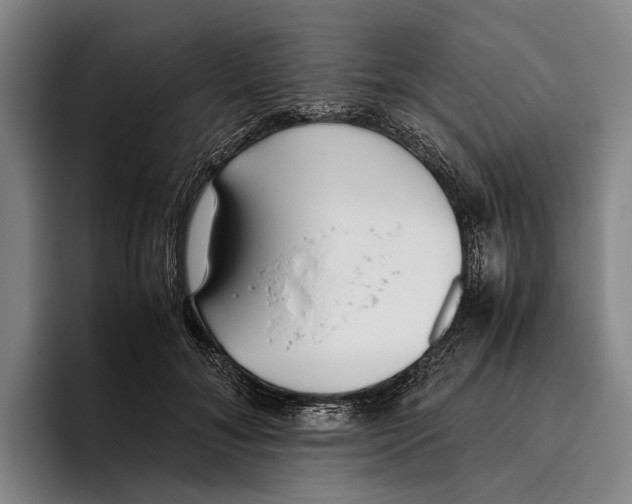 X0000096140700200802151334