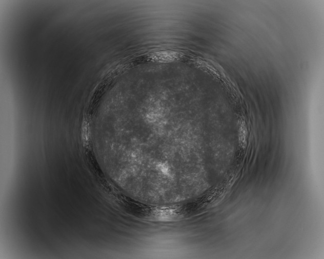 X0000096140701200802151334