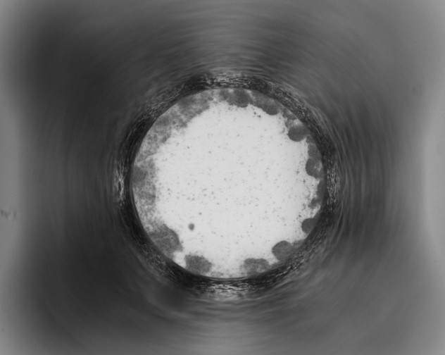 X0000096140703200802151334