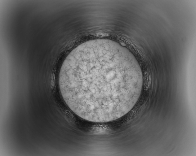 X0000096140704200802151334