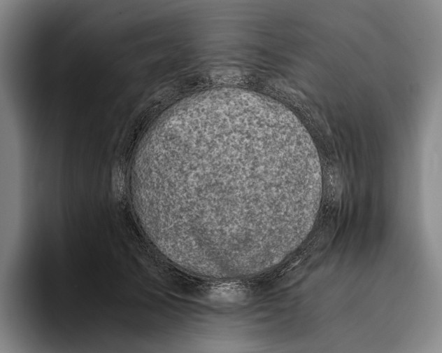X0000096140705200802151334