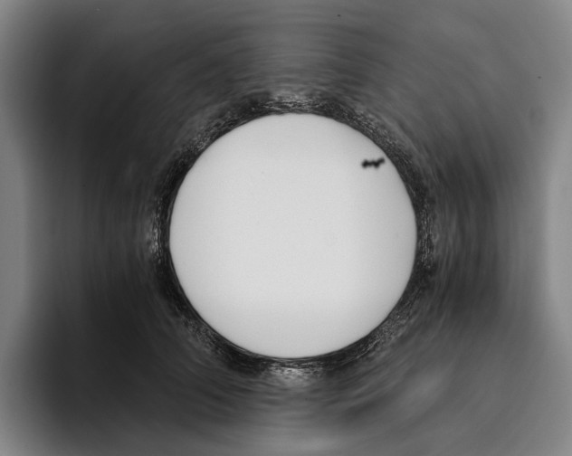 X0000096140706200802151334