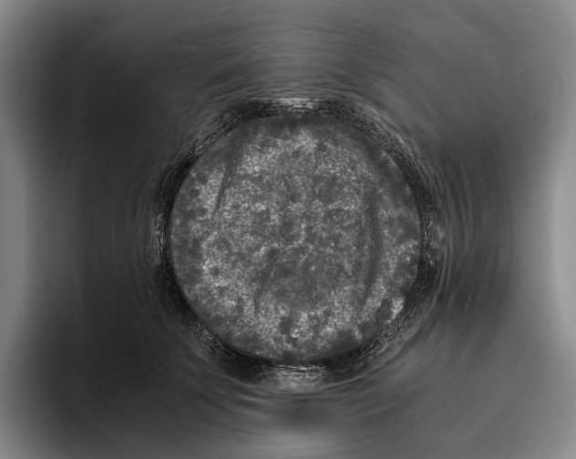 X0000096140707200802151334