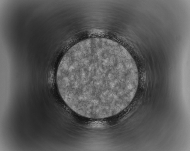 X0000096140708200802151334