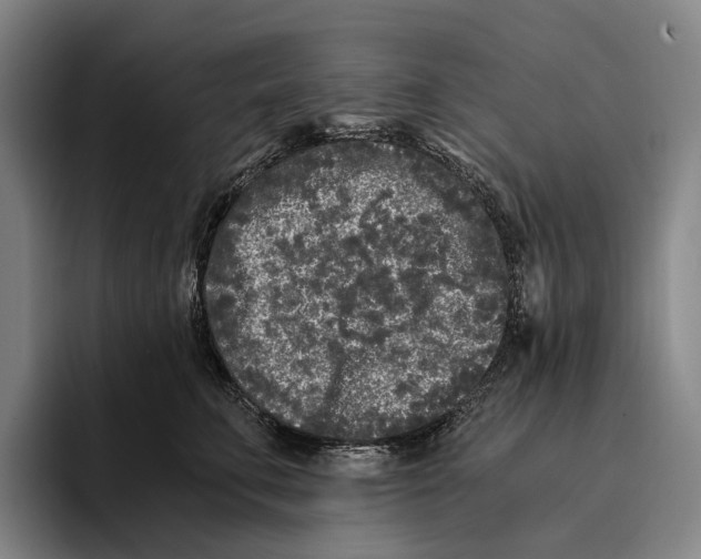 X0000096140711200802151334