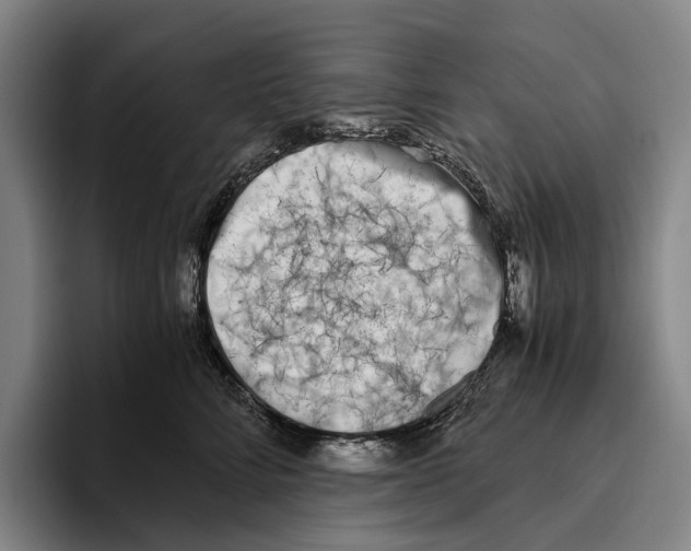 X0000096140712200802151334