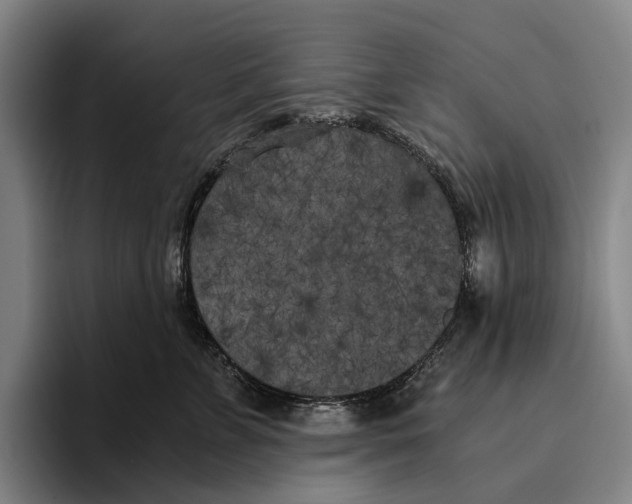 X0000096140715200802151334