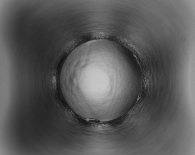 X0000096140716200802151334