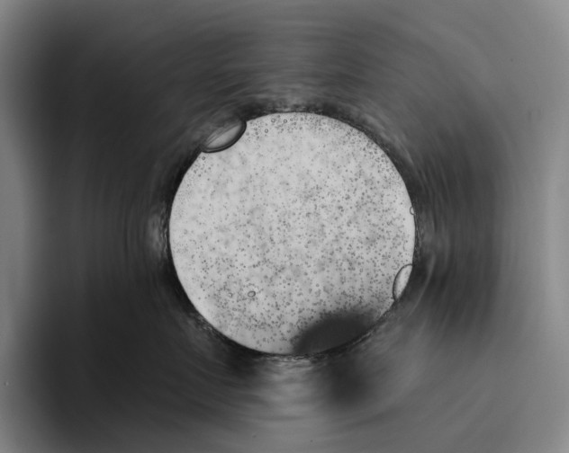 X0000096140719200802151334