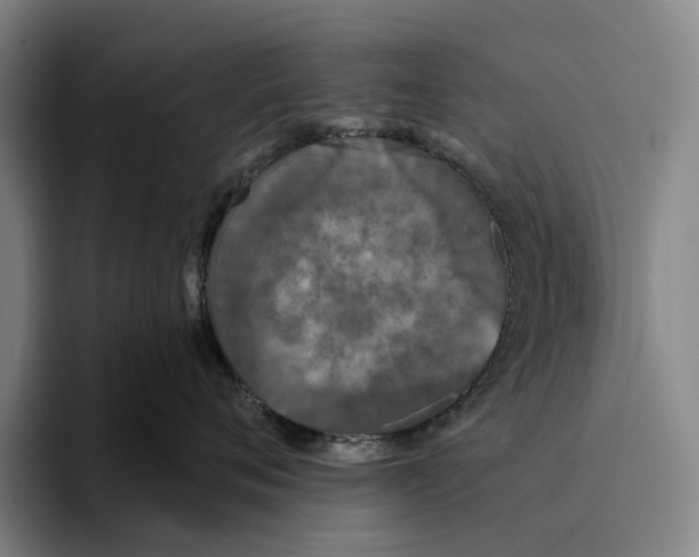 X0000096140720200802151334