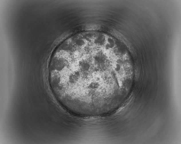 X0000096140721200802151333