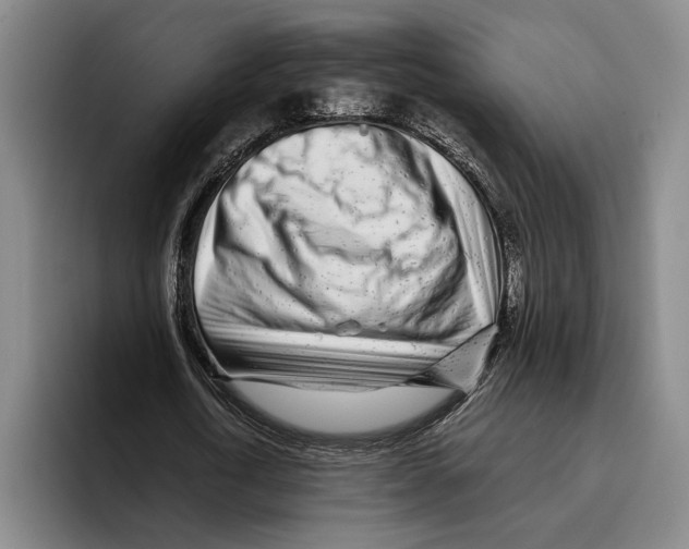 X0000096140722200802151334