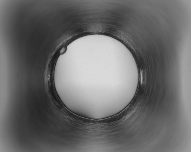 X0000096140723200802151334