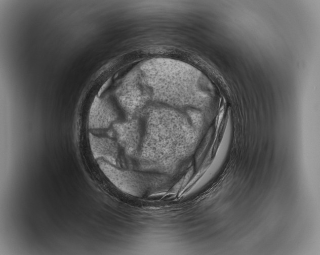 X0000096140724200802151334