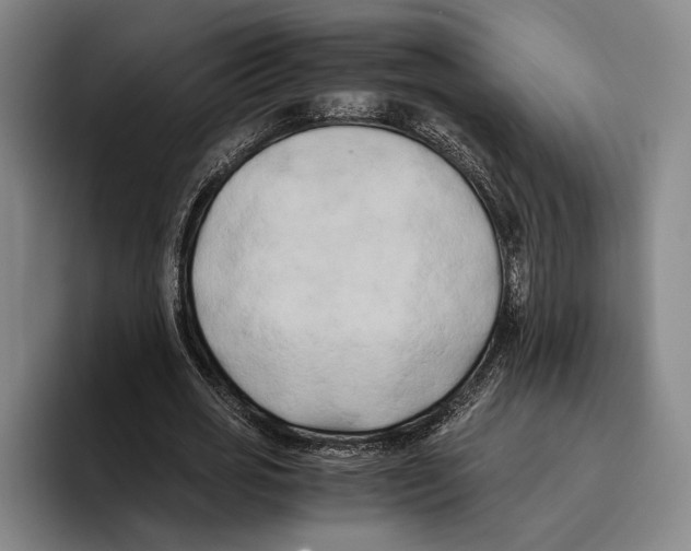 X0000096140725200802151334