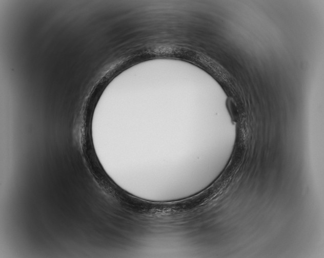 X0000096140728200802151334