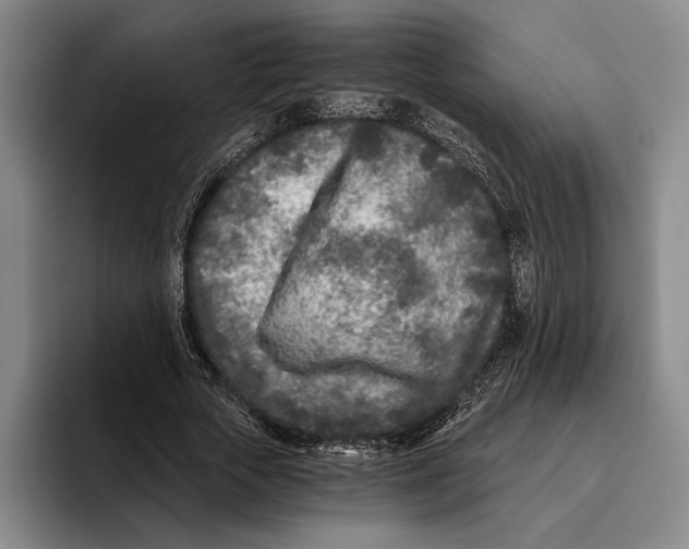 X0000096140729200802151334