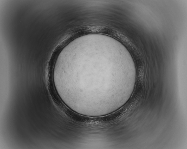 X0000096140730200802151334