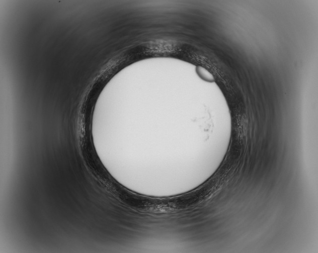 X0000096140731200802151334