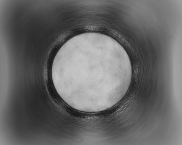 X0000096140734200802151334