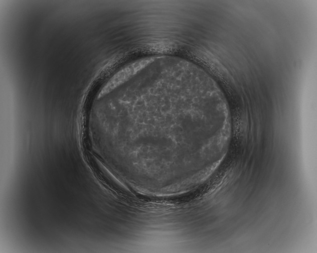 X0000096140736200802151334