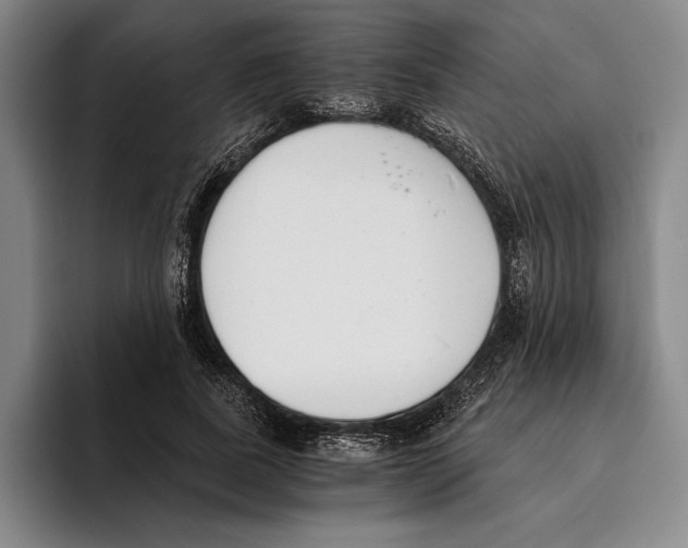 X0000096140739200802151334