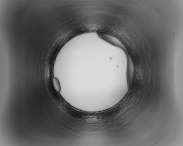 X0000096140740200802151334