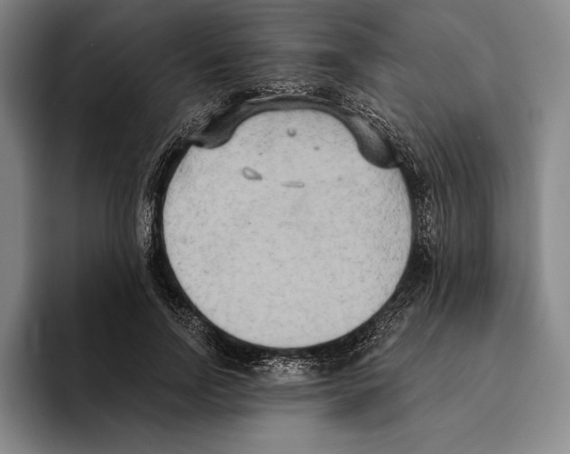 X0000096140742200802151334