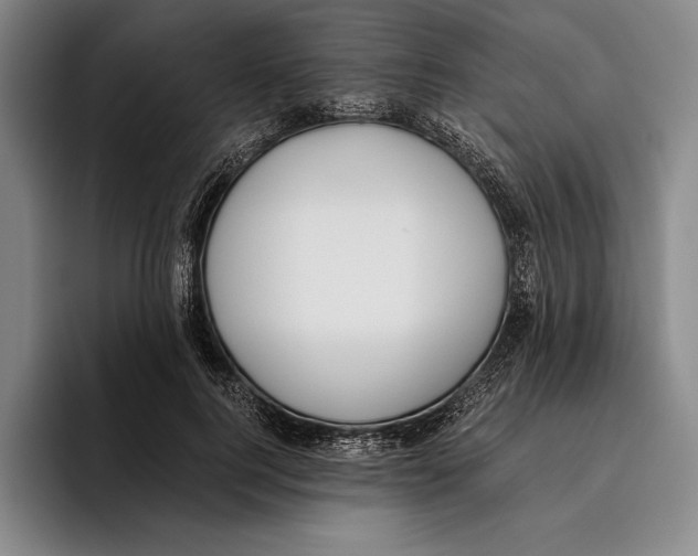 X0000096140744200802151334