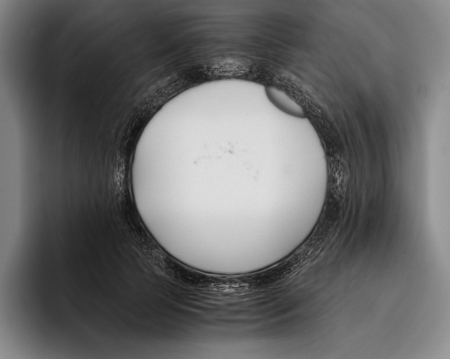 X0000096140745200802151334