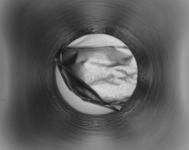 X0000096140748200802151334