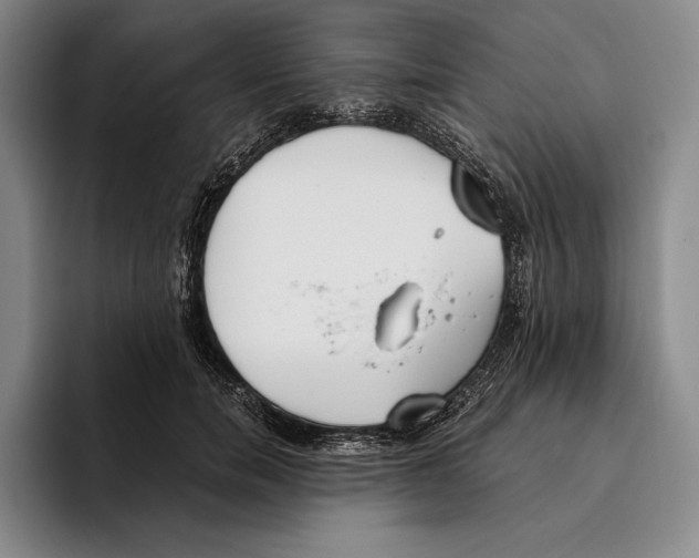 X0000096140750200802151334