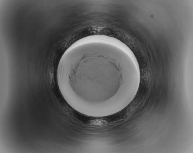 X0000096140754200802151334