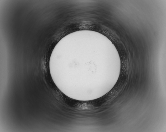 X0000096140755200802151334
