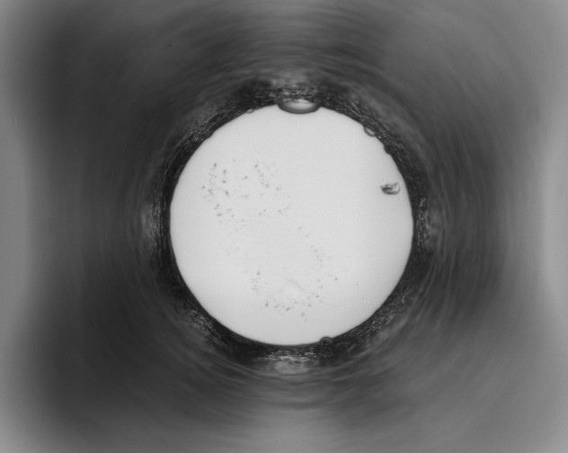 X0000096140756200802151334