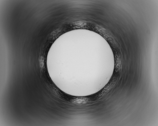 X0000096140758200802151334
