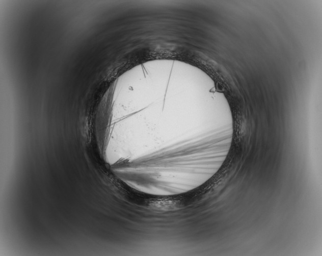 X0000096140759200802151334