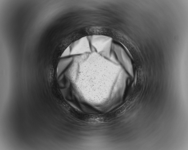 X0000096140760200802151334