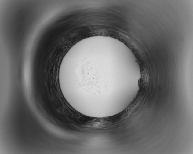 X0000096140764200802151334