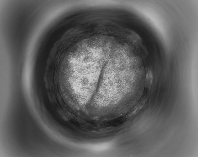 X0000096140765200802151334