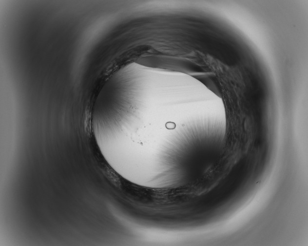 X0000096140766200802151334