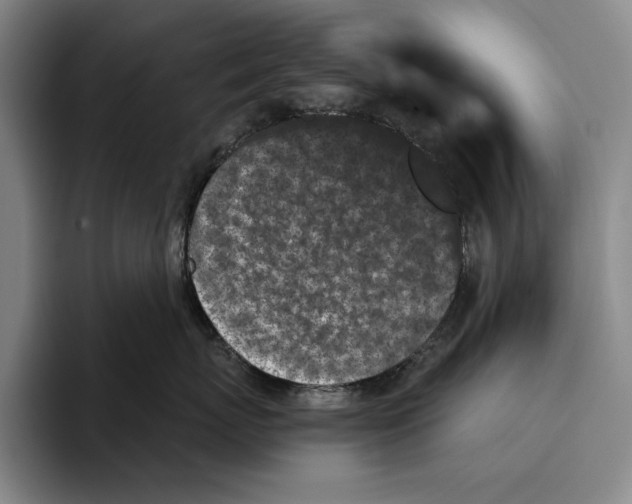 X0000096140767200802151334