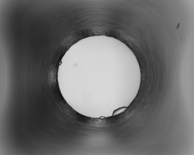 X0000096140768200802151334