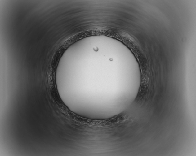 X0000096140773200802151333